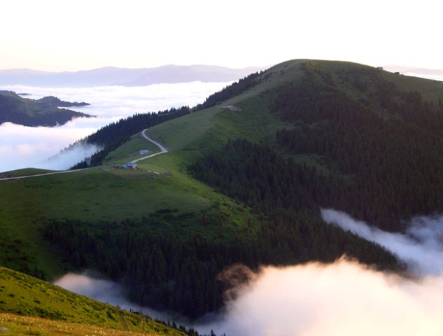 a another yayla Photo from Trabzon