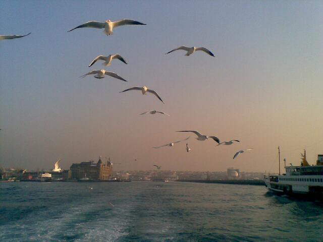 Bosphorus