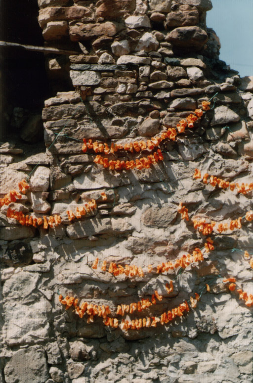 peppers on a wall II