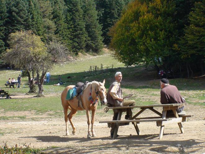 Abant Gölü