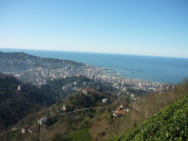 Rize