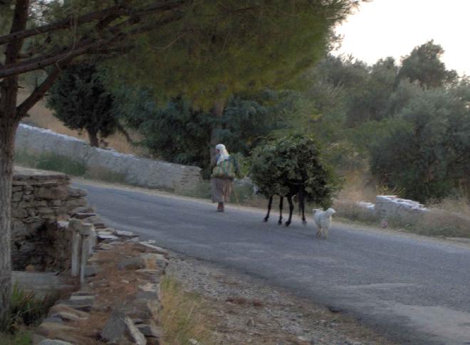 Village woman coming from work