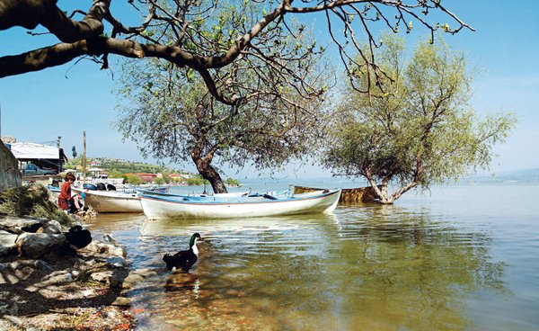 Bursa -Uluabat lake-2