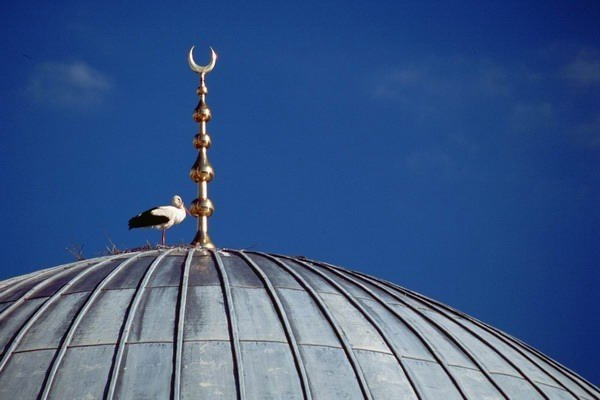 Stork on mosque