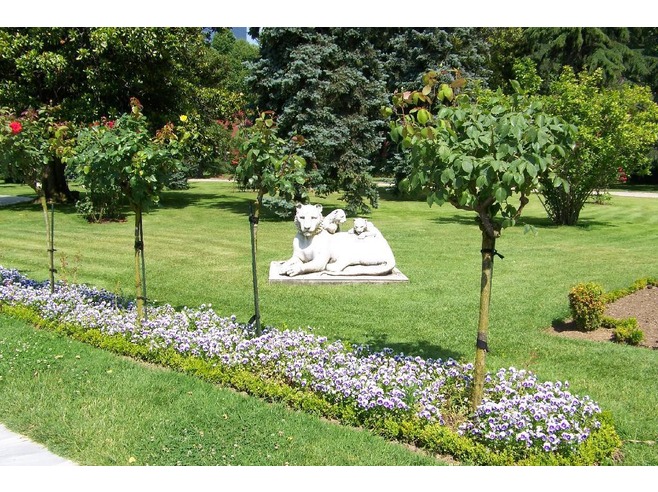 DOLMABAHCE PALACE GARDENS