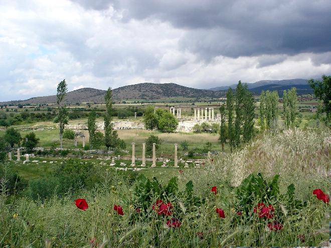 Roman Ruins