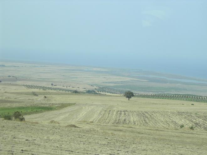 Anatolian field