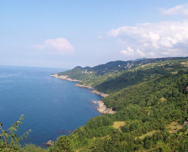 Sinop