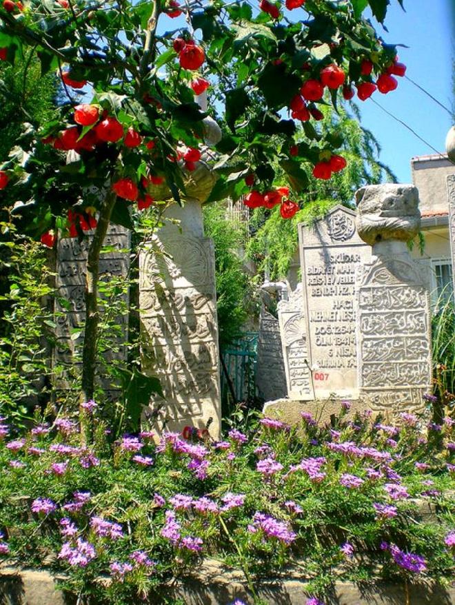 Sepulchral monuments/ mezar taşları