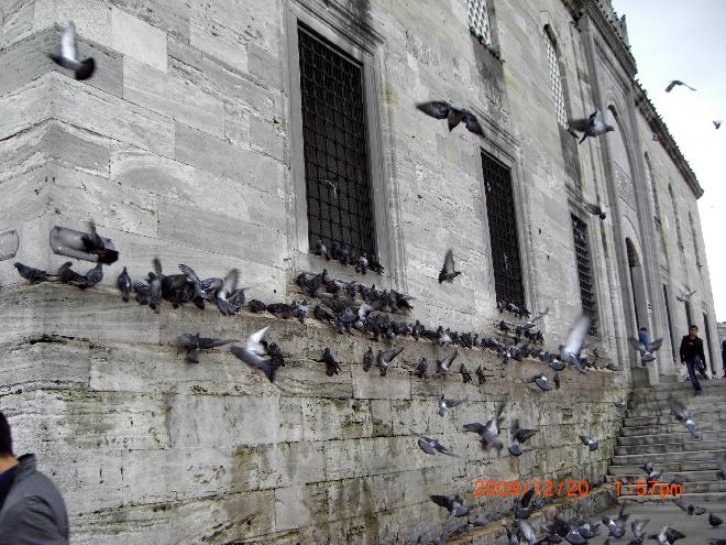 Yeni Camii