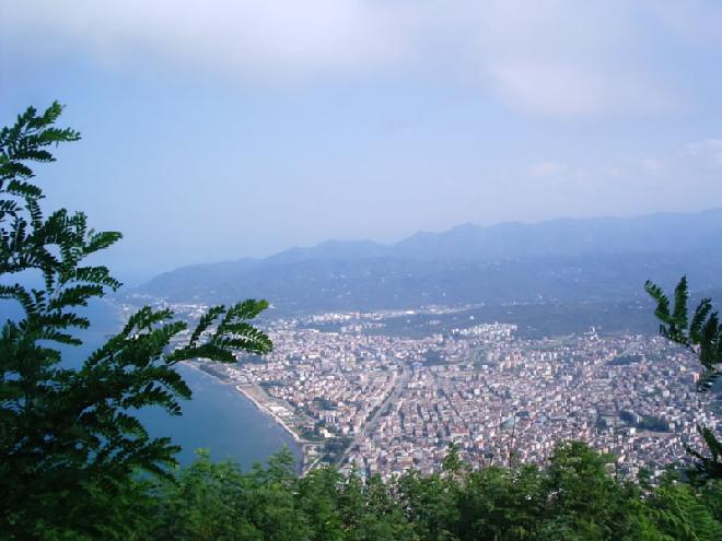 Ordu