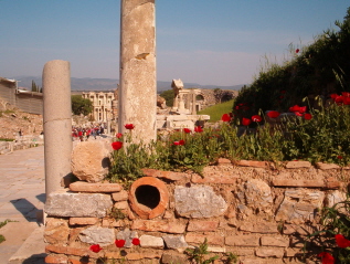 View of the Ceremonial Way