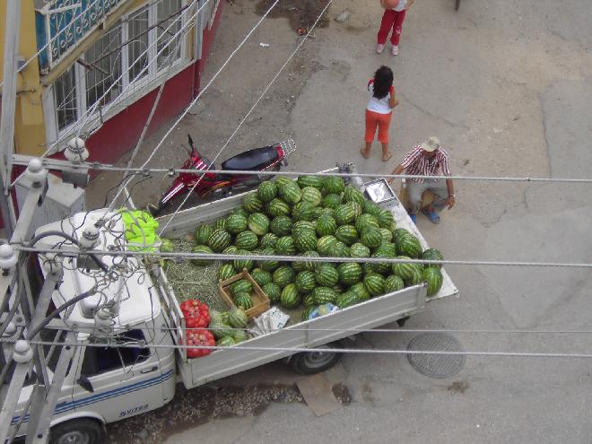 Watermelons