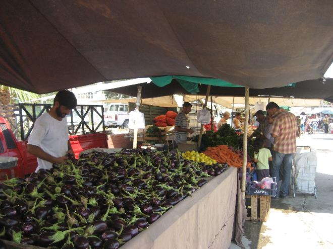 Eggplant in English; Patlıcan in Türk