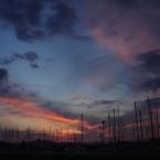 Sunset at the marina