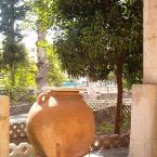 Garden in the archaeological museum