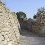 Walls of Troy