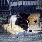 Pictures: sPiKe
