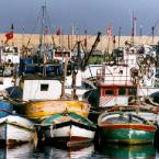 fishing boats