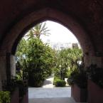 greenery through the gate