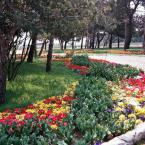 Park at Çamlıca Hill