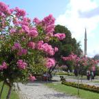 Summer in Sultanahmet