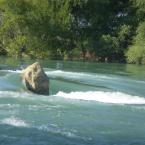 Manavgat river