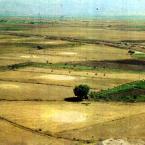 Plains in the province of Igdir