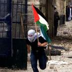 Pictures: freedom