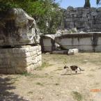 Apollo Temple