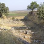 Walls of Troy 12