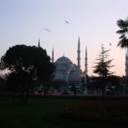 Blue Mosque Sunset