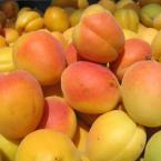 apricots