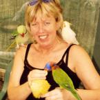 Pictures: Feeding the birds in Perth, Western Australia