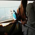 Pictures: strange things seen on autobus in Istanbul