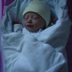 Pictures: Nur