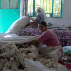 Pictures: Stuffing beds.