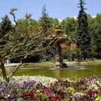 Dolmabahce Garden-Fountain