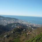 Rize