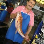 Balikci - the Fish seller