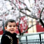 Pictures: A Turkish Son 