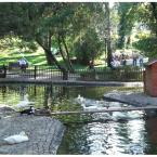 Lazy afternoon in the Kuğulu Park