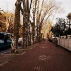 Pictures: En Güzel Turkey: The Path