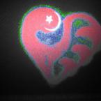 Pictures: heart in turkey