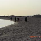 Beach in winter