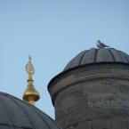 Pictures: Blue Mosque 