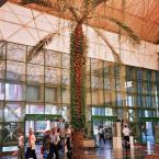 Antalya Bus Station