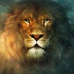 Pictures: Aslan7