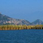 Dalyan Delta