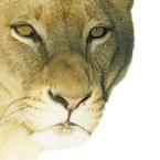Pictures: Aslan5